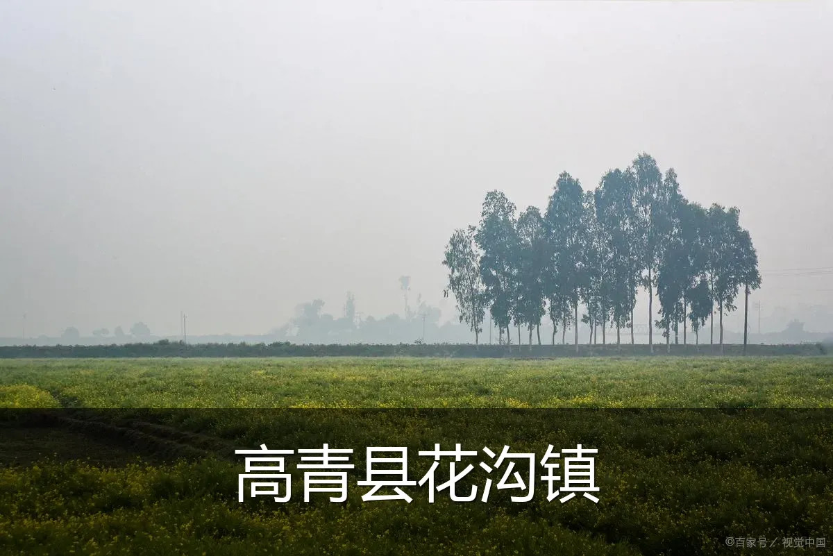 高青县花沟镇